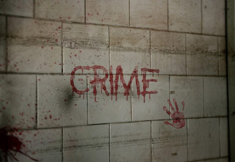 crime, crime scene, murder, criminal, grim, attack, security, brutal, police