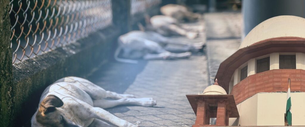Fear, Facts, and the Constitution: A Critical Study of Suo Motu Judicial Intervention in India’s Stray Dog Crisis