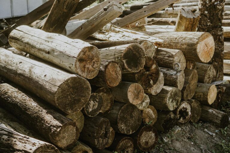 Natural timber logs stacked outdoors in Basco, Philippines, showcasing wood textures and natural hues.