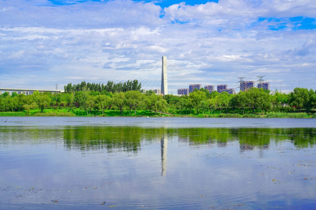 A modern cable-stayed bridge spans over a tranquil lake with lush green surroundings.
