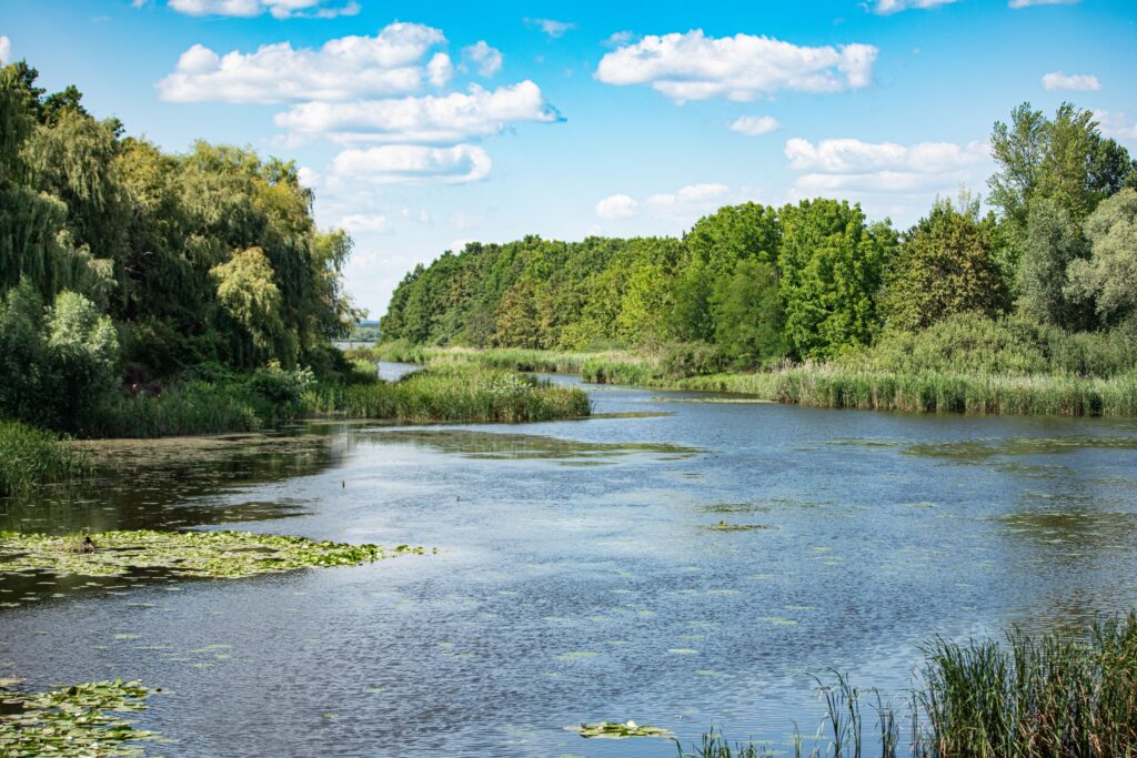 Peaceful river landscape with lush greenery and clear blue sky at Balatonmagyaród, Hungary.