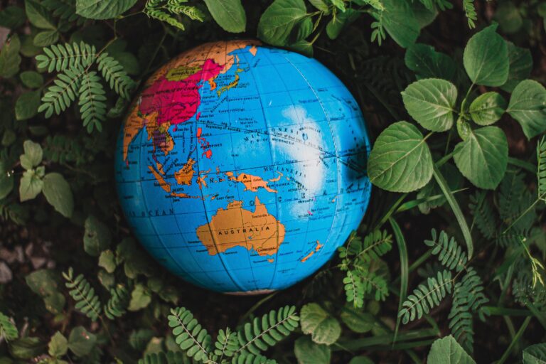 Vibrant globe placed amidst lush green leaves, representing global geography and nature.